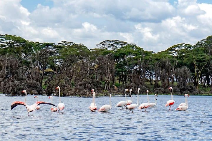 Biking Lake Naivasha & Hell's Gate: Rift Valley Ride from Nairobi photo 5