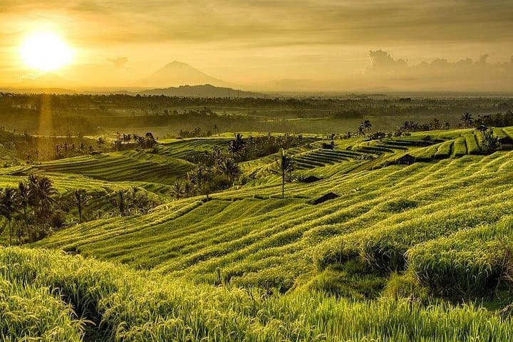 Full-Day Tabanan Tour: Jatiluwih Rice Terraces, Ulun Danu & Tanah Lot photo 3