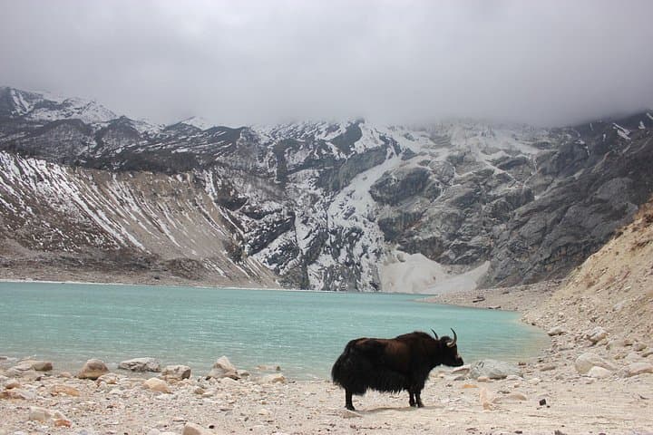 13-Day Manaslu Trek from Kathmandu — Larkya La Pass & Tibetan Villages photo 4