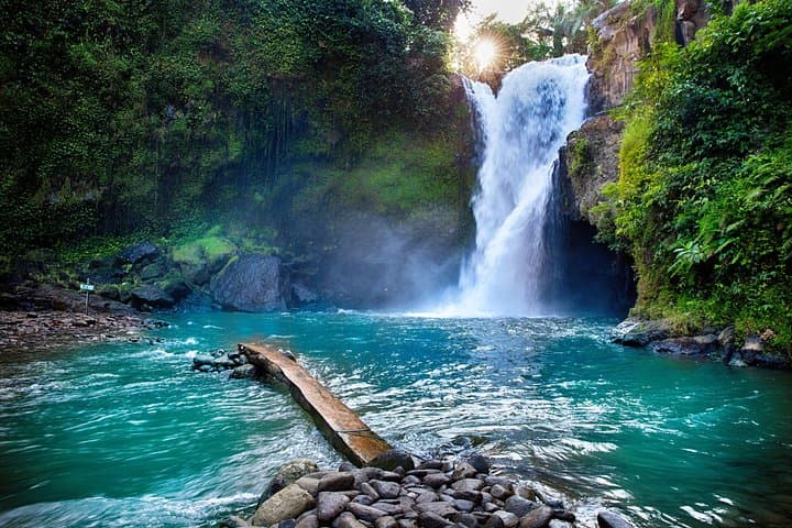 Ubud Full-Day Tour: Tegalalang Rice Terraces, Monkey Forest & Bali Swing photo 2