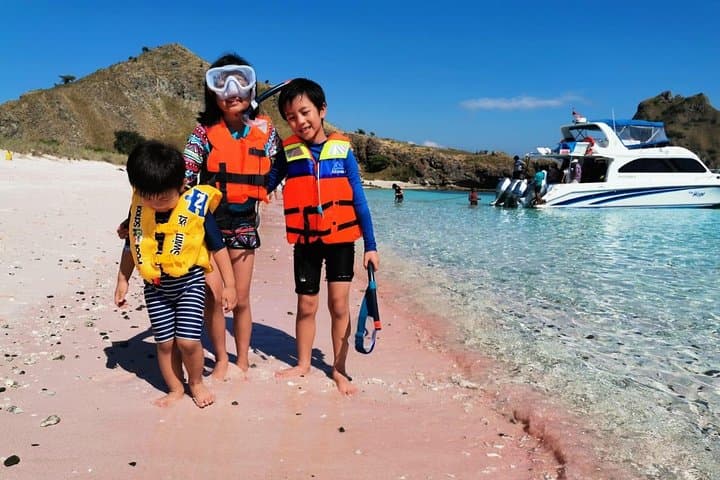 Komodo One-Day Fast-Boat: Padar Hike, Dragons & Snorkel Highlights photo 3