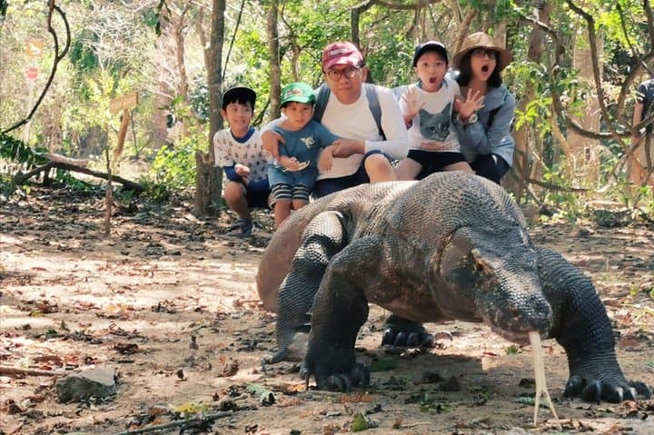 Komodo One-Day Fast-Boat: Padar Hike, Dragons & Snorkel Highlights photo 4