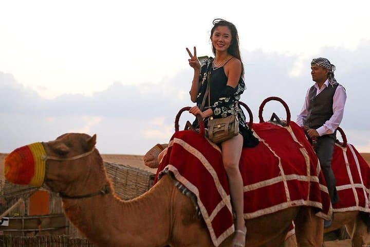 Private VIP Desert Safari in Dubai with BBQ Dinner & Dune Bashing photo 4