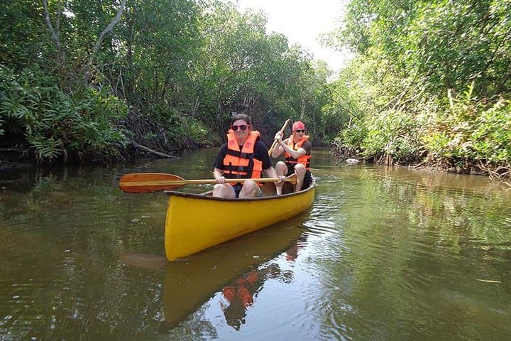 Paddle the Galle Lagoons: Morning Canoe Through Mangroves photo 2