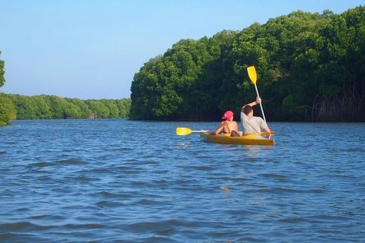 Paddle the Galle Lagoons: Morning Canoe Through Mangroves photo 3