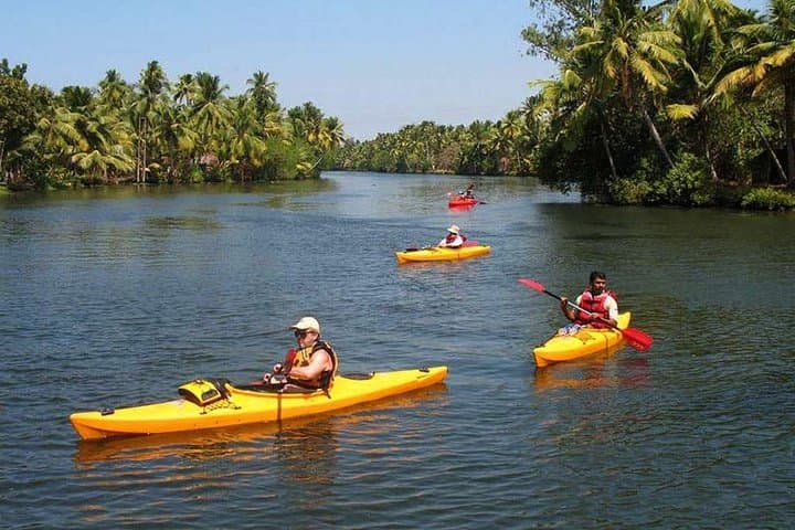 Paddle the Galle Lagoons: Morning Canoe Through Mangroves photo 5