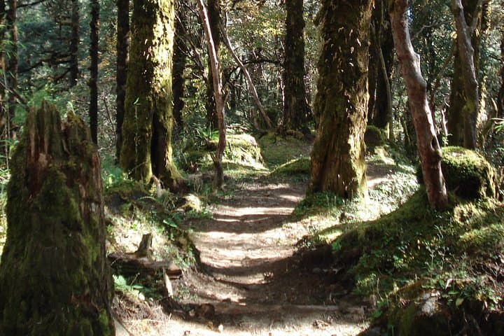 Kathmandu Valley Day Hike: Shivapuri to Nagi Gompa Cultural Trek
