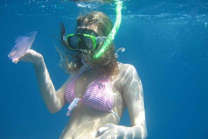 Giftun Island Snorkel Trip from Hurghada — Reef Cruises & Dolphin Watching photo 5