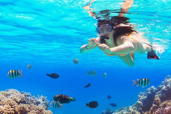Giftun Island Snorkel Trip from Hurghada — Reef Cruises & Dolphin Watching