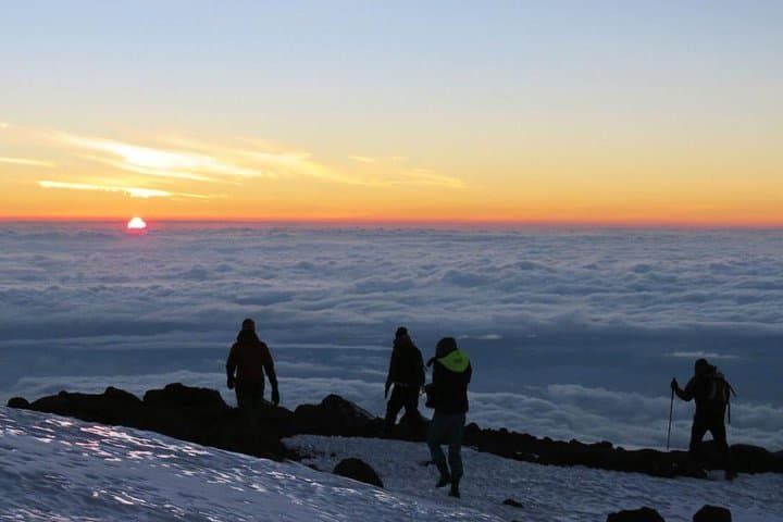 Climb Mount Kilimanjaro: 7-Day Lemosho Route Expedition photo 2