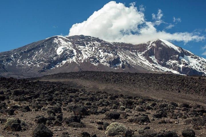 7-Day Lemosho Route Kilimanjaro Trek — Summit Uhuru Peak via Londorossi Gate photo 6
