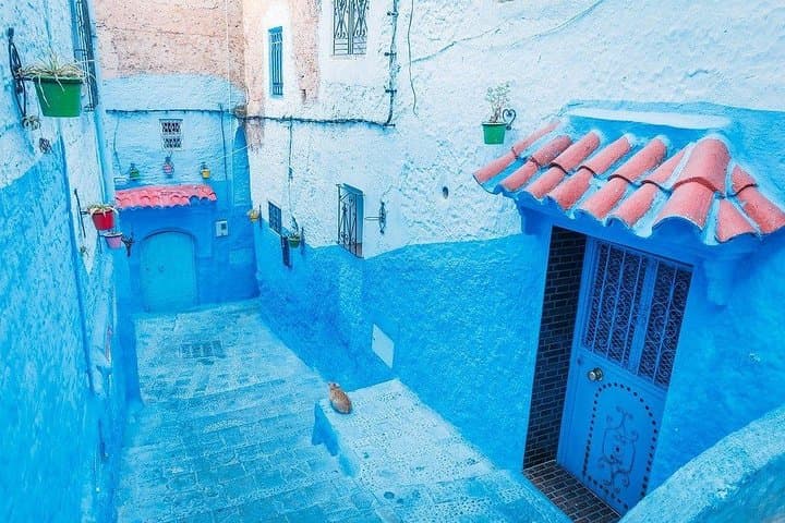Private Day Trip from Fez to Chefchaouen — Explore Morocco's Blue City in One Day photo 4