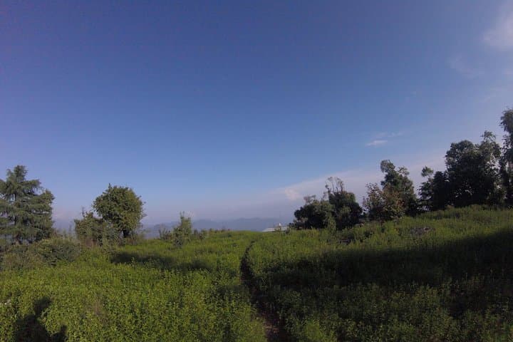 Mussoorie Ridge Treks: Jungle Cooking and 360° Summit Views photo 5