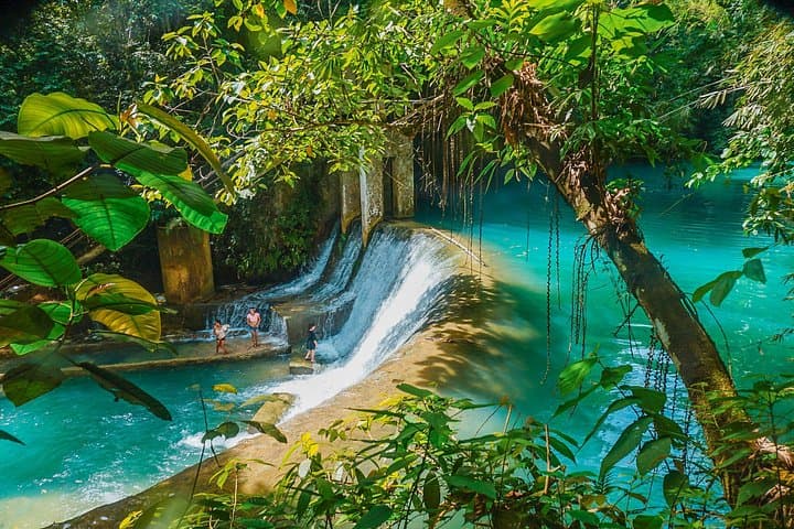 Kawasan Canyoneering and Oslob Whale Shark Encounter — Full-Day Adventure from Cebu