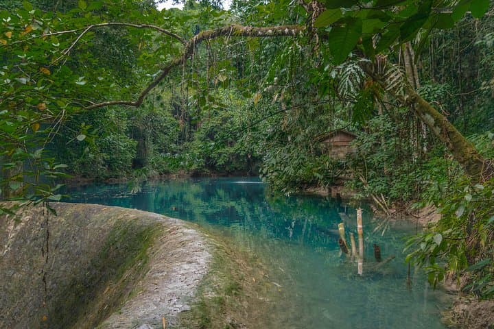 Kawasan Canyoneering and Oslob Whale Shark Encounter — Full-Day Adventure from Cebu photo 4