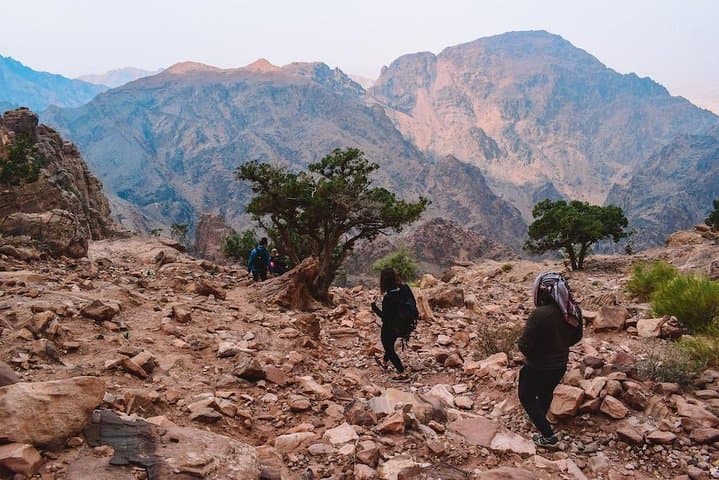 Full-Day Petra, Wadi Rum & Dead Sea from Amman — Complete Day-Trip Guide photo 6