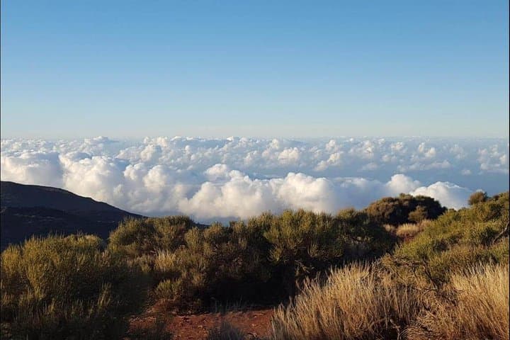 Private Shore Excursion in Tenerife: Teide, Masca & Historic Towns from Santa Cruz photo 3