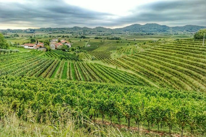 E-bike Experience Through Goriška Brda Vineyards — Day Trip from Ljubljana photo 6