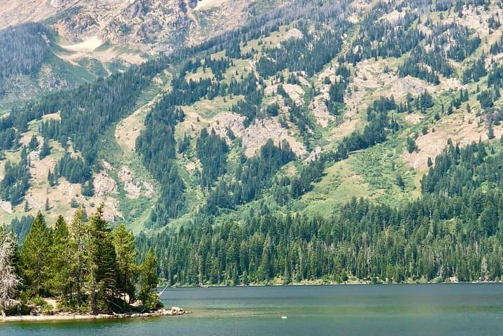 Snake River Scenic Float Trip in Grand Teton National Park — Jackson Hole photo 2
