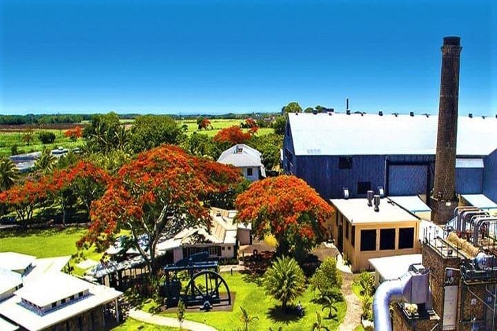 Private SUV: Full-Day North Mauritius Cultural and Botanical Tour photo 6
