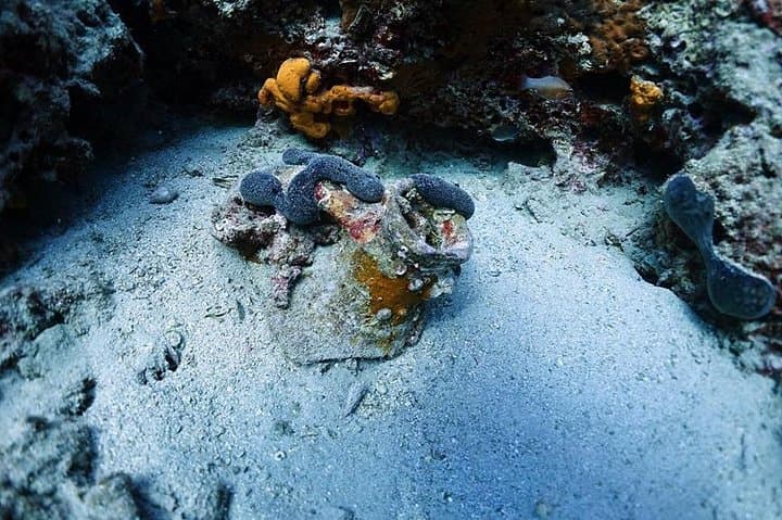 Athens Beginner Scuba: Private Discover Scuba Diving Near the City photo 4