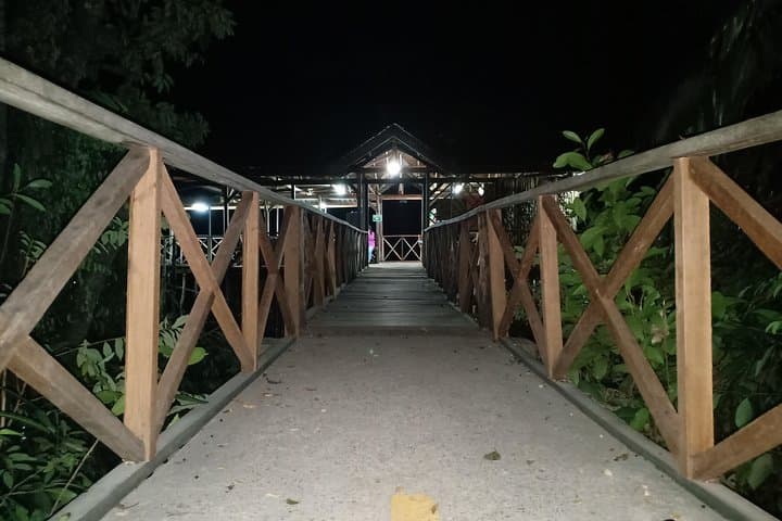 Bintan Fireflies Discovery: Night Boat Cruise on the Sebong River photo 2