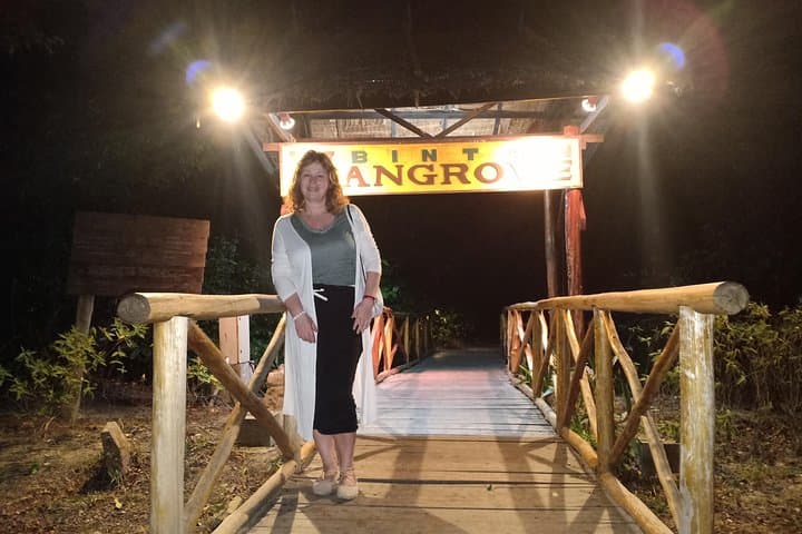 Bintan Fireflies Discovery: Night Boat Cruise on the Sebong River photo 3
