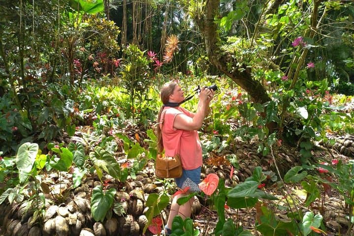 Montreal Gardens & Mesopotamia Valley Eco-Tour from Kingstown photo 6