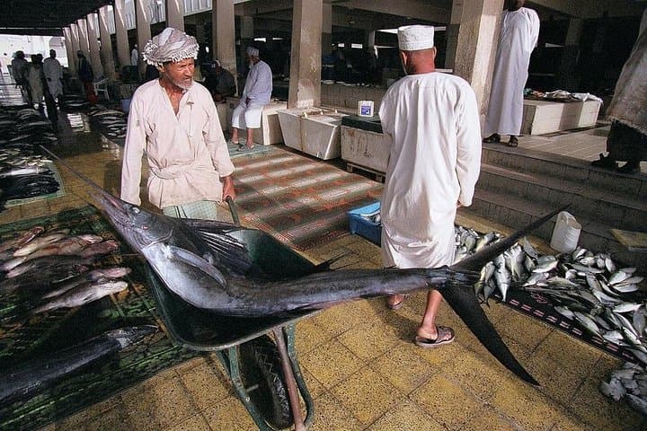 Muscat Full-Day Private City Tour — Grand Mosque, Muttrah Souq & Coastal Views photo 5