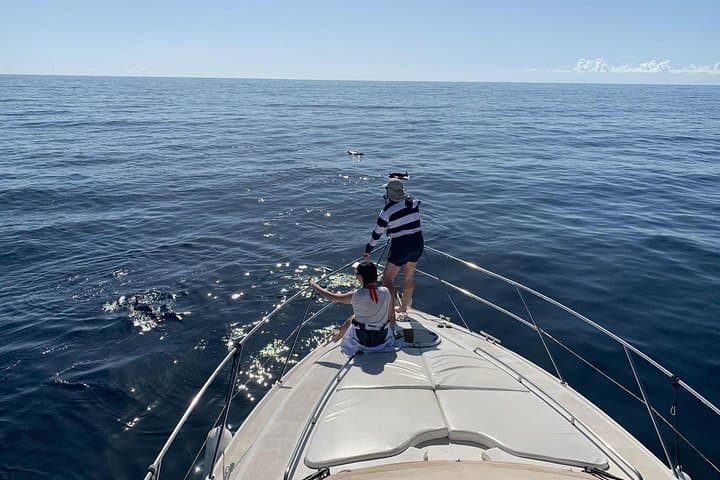 Dolphin Search Cruise from Puerto de Mogán on KEEPER UNO photo 4