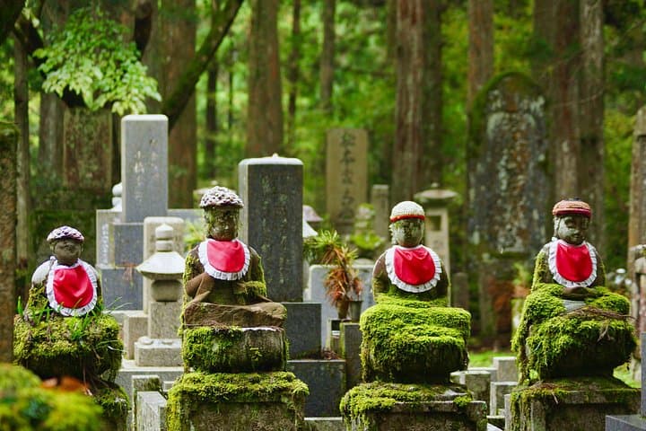 Koyasan Full-Day Private Tour: Okunoin, Garan & Kongobuji Experience photo 4
