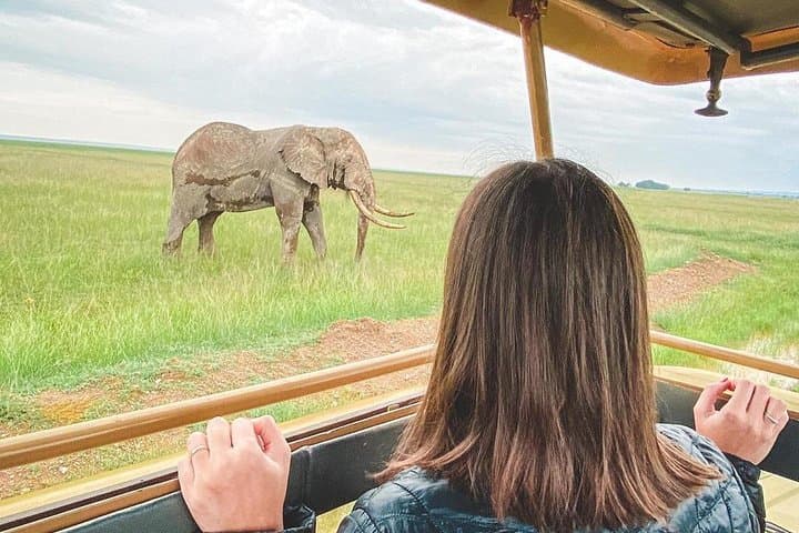 2-Day Amboseli Safari: Kilimanjaro Views & Classic Game Drives photo 6