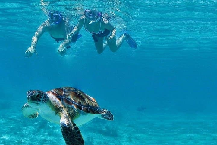Luxury Sailboat and Snorkel Adventure in the Riviera Maya photo 3