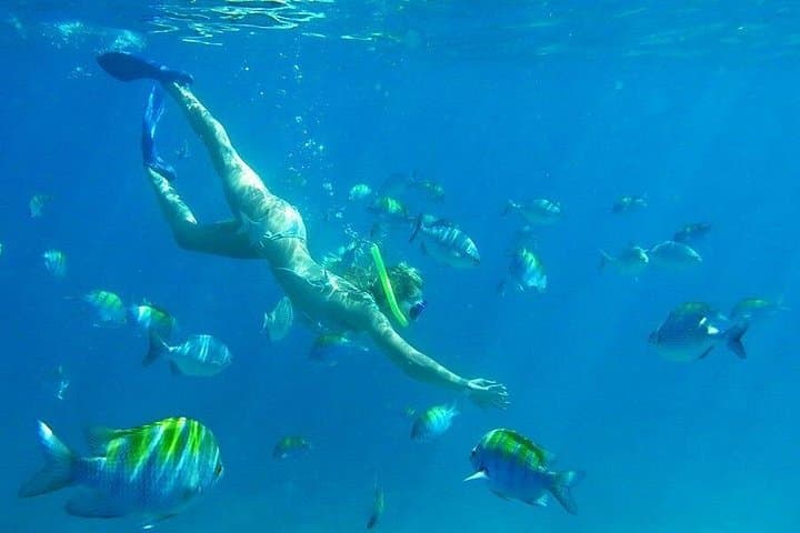 Luxury Sailboat and Snorkel Adventure in the Riviera Maya photo 4