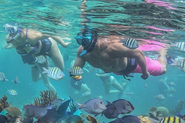 Luxury Catamaran Snorkel: Isla Mujeres Day Sail from Cancun photo 5