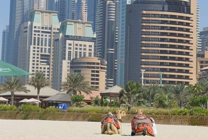 Dubai Full-Day Private City Tour — Burj Khalifa, Al Bastakiya & Gold Souk Highlights photo 6