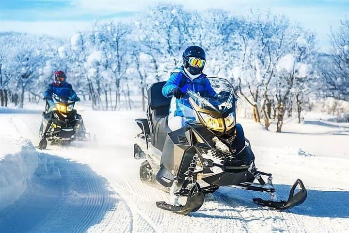 Day Trip to Bakuriani: Ski, Snowmobile & Borjomi Springs from Tbilisi photo 3