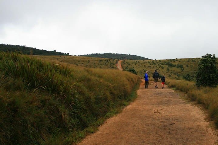 Horton Plains Day Tour from Kandy: World's End, Baker's Falls & Wildlife