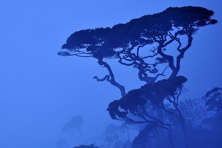 Horton Plains Day Tour from Kandy: World's End, Baker's Falls & Wildlife photo 3