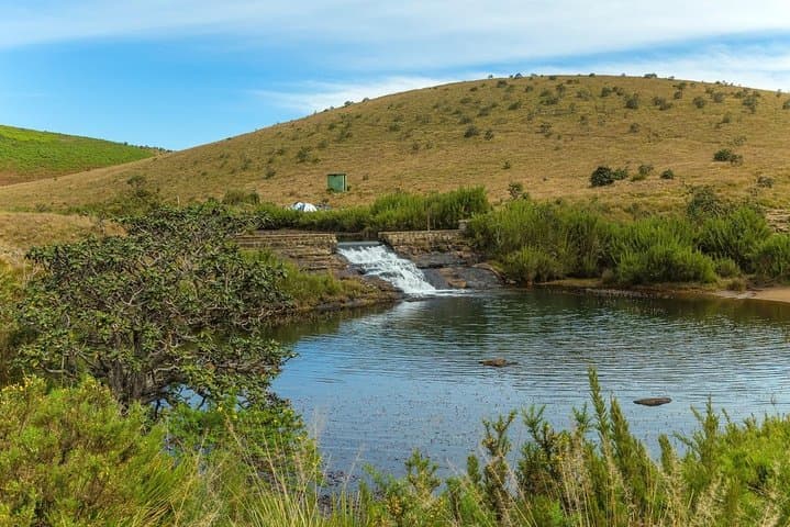 Horton Plains Day Tour from Kandy: World's End, Baker's Falls & Wildlife photo 4
