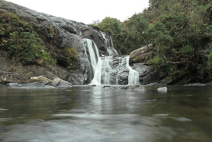 Horton Plains Day Tour from Kandy: World's End, Baker's Falls & Wildlife photo 5