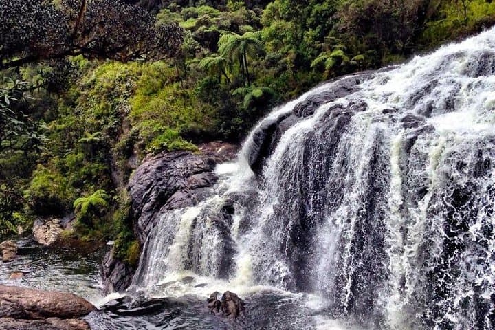 Horton Plains Day Tour from Kandy: World's End, Baker's Falls & Wildlife photo 6