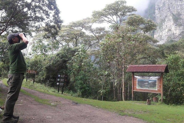Birding Chicaque Cloud Forest: Hummingbirds & Andean Wildlife Near Bogotá photo 2