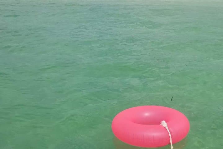 Florida Keys Sandbar & Snorkel Boat Excursion from Key West photo 3