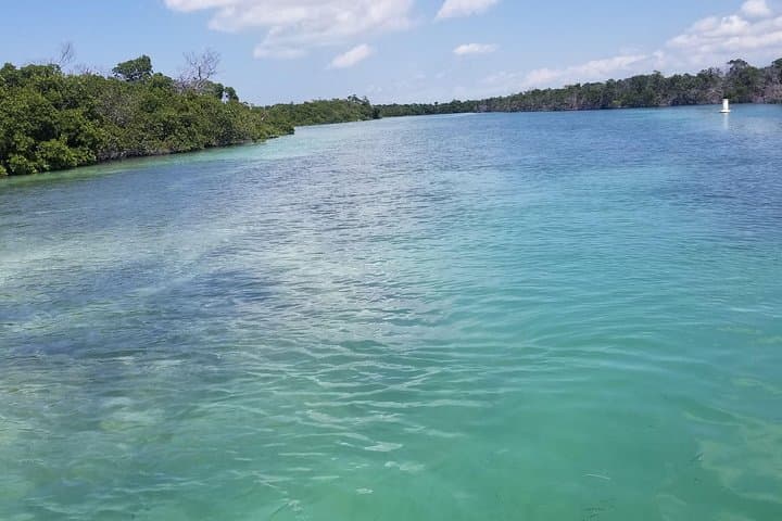Florida Keys Sandbar & Snorkel Boat Excursion from Key West photo 6