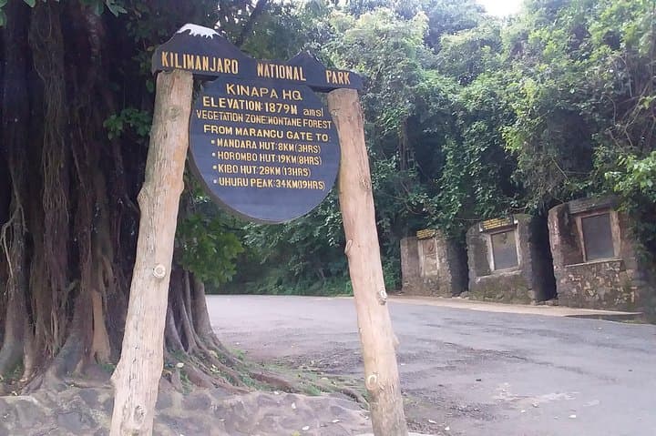 Kilimanjaro Day Hike: Mandara Hut & Maundi Crater Sneak Peek from Moshi photo 5