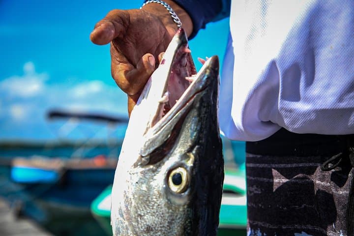 Isla Mujeres Half-Day Fishing and Snorkeling Tour — Catch Fish and Explore Coral photo 3