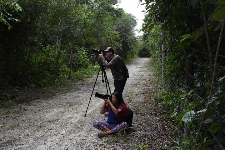 Birdwatching the Ruta de los Cenotes: Birds of the Mayan World 2 in the Riviera Maya photo 3