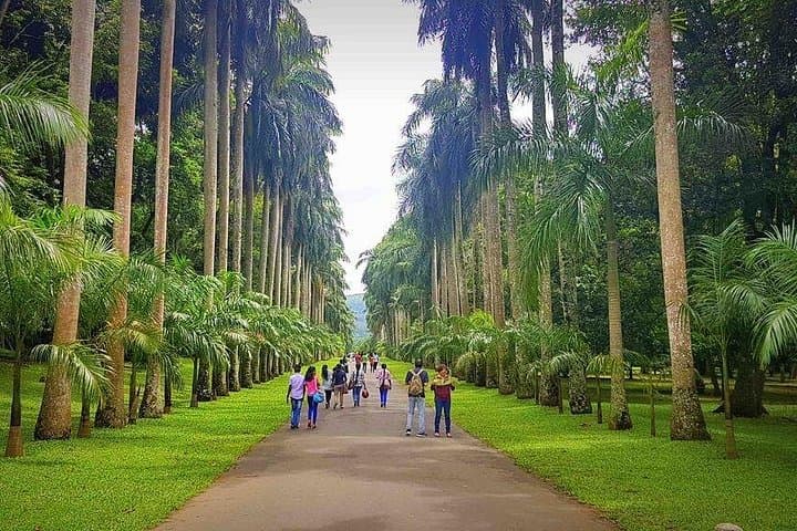 Private Day Tour to Kandy from Galle & Bentota — Temple, Tea & Gardens photo 4