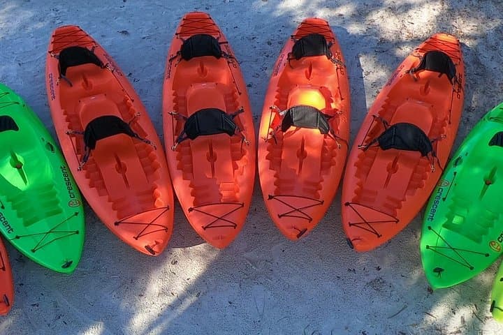 Crystal River 4-Hour Tandem Kayak Rental — Paddle with Manatees and Coastal Wildlife photo 3